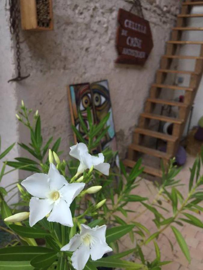 Messimy-sur-Saone La Grange De La Batone - Bed And Breakfast מראה חיצוני תמונה