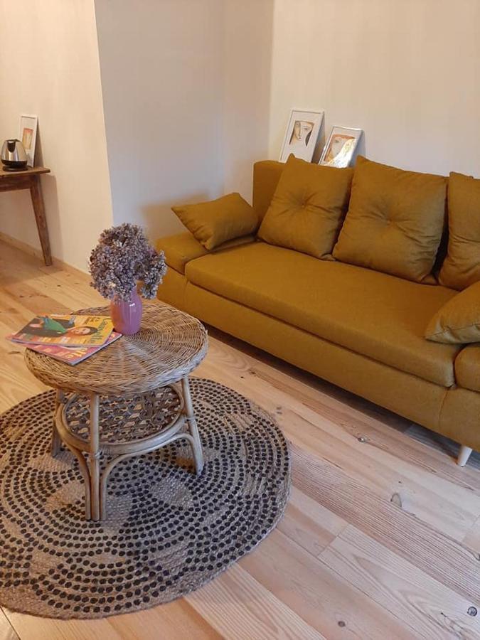 Messimy-sur-Saone La Grange De La Batone - Bed And Breakfast מראה חיצוני תמונה