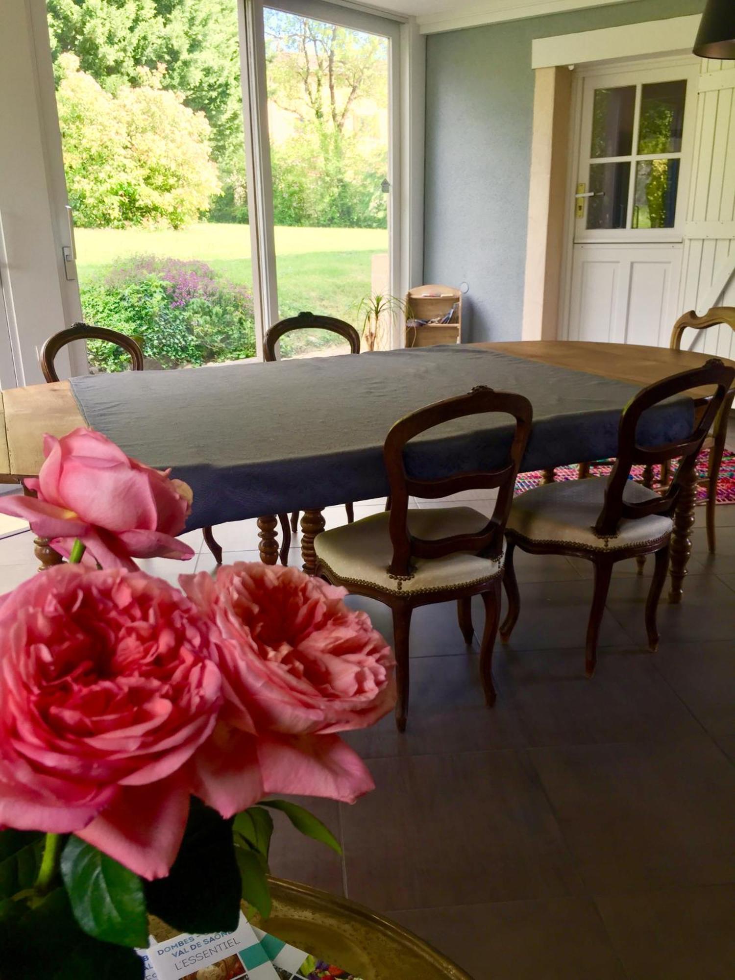 Messimy-sur-Saone La Grange De La Batone - Bed And Breakfast מראה חיצוני תמונה